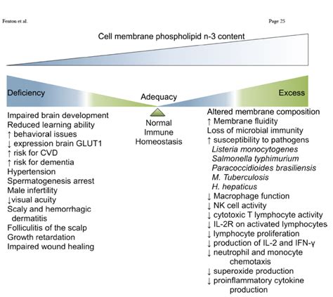 omega-3 role in cell replication|omega 3 and cellular aging.